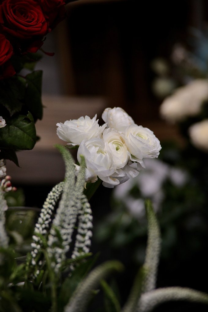 Douceur et couleurs photo 11